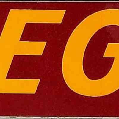 Riegle Bumper Sticker