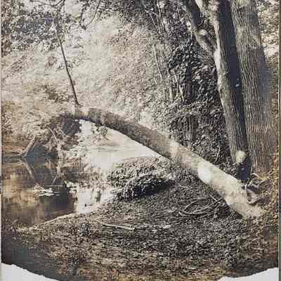 Lansing River View RPPC