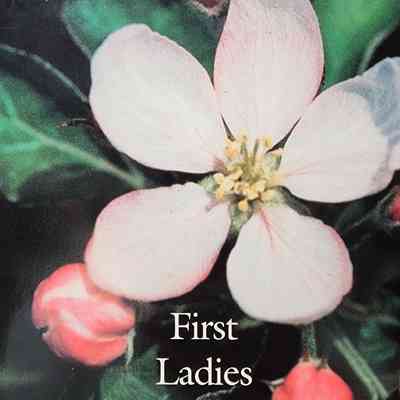 First Ladies of Michigan by Weddon