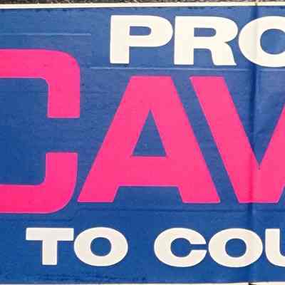 Cavanagh Court of Appeals Bumper Sticker