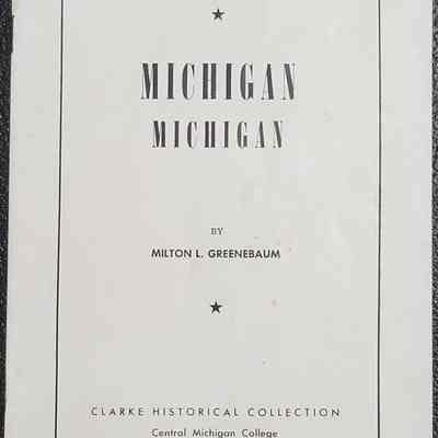 Michigan, Michigan by Greenbaum