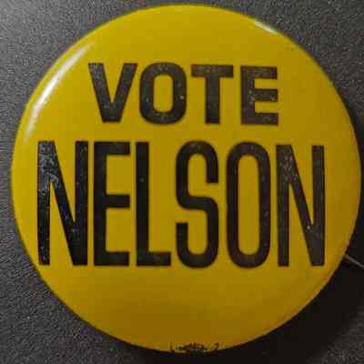 Vote Nelson Button
