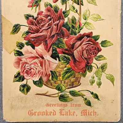 Crooked Lake, Mich. Souvenir Postcard