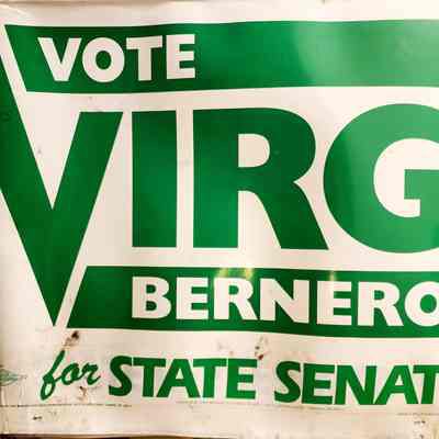 Vote Virg Bernero for State Senate Sign