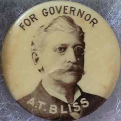 A.T. Bliss for Governor Picture Button