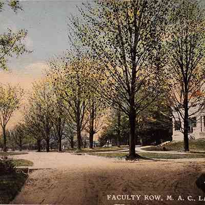 Faculty Row, M.A.C., Lansing, Mich., Postcard