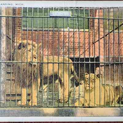 Scene in Zoo, Lansing, Mich. Postcard