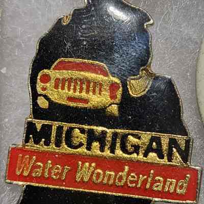 Michigan Water Wonderland Pin