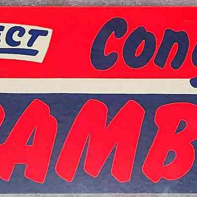 Charles Chamberlain Congress Bumper Sticker