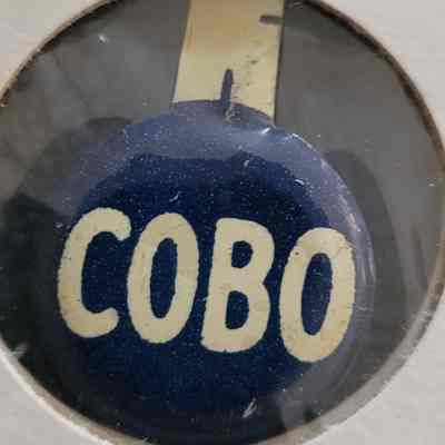 Cobo Gubernatorial Tab