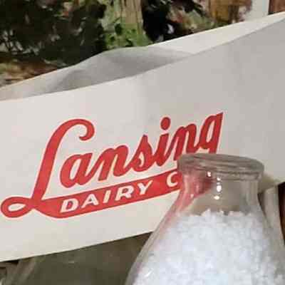 Lansing Dairy Co. Paper Hat