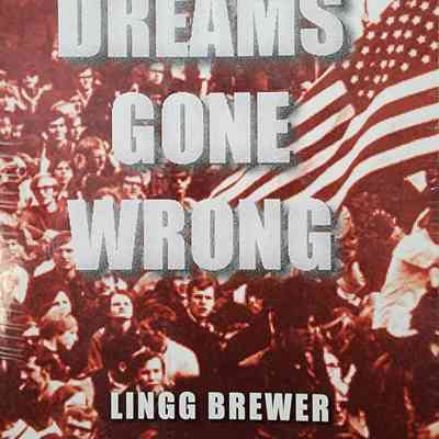 Dreams Gone Wrong by Brewer