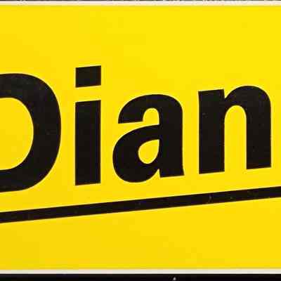 Dianne Byrum for State Representative Bumper Sticker