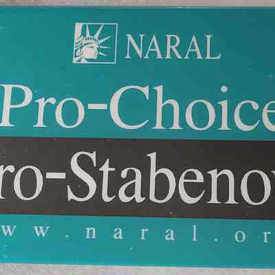 Stabenow NARAL Rectangular Button