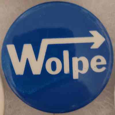 Wolpe Congressional Button