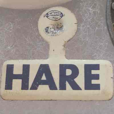 Hare Tab