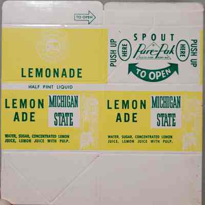 Michigan State Lemon Ade Half Pint Carton