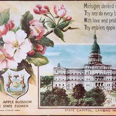 State Capitol and Apple Blossom, Lansing, Mich. Postcard