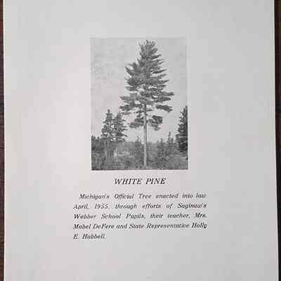 White Pine State Capitol Plaque Dedication Program