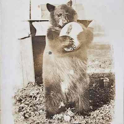 Monty's Ball, M.A.C., RPPC by Bovee