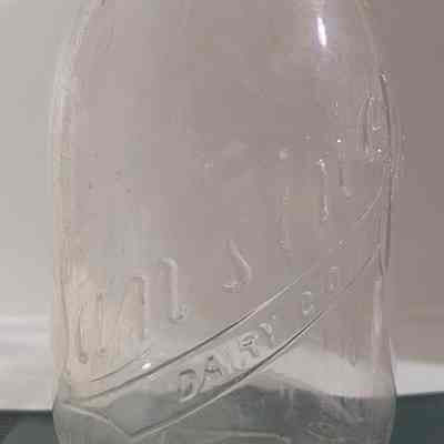 Lansing Dairy Co. Embossed Pint Bottle