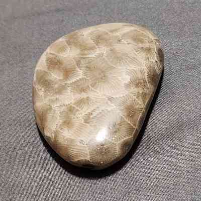 Petoskey Stone