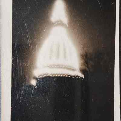 Capitol Birdcage Snapshot Photo