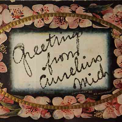 Greetings from Aurelius, Mich., Postcard