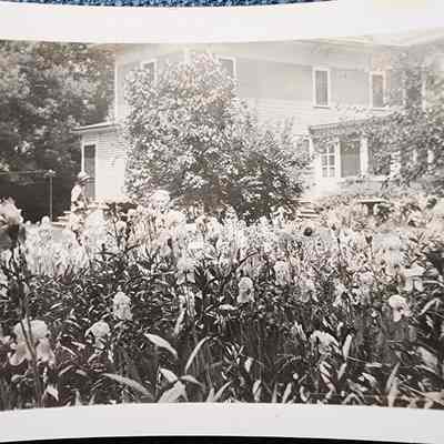 B.F. Davis in Garden of Mansion Snapshot Photo