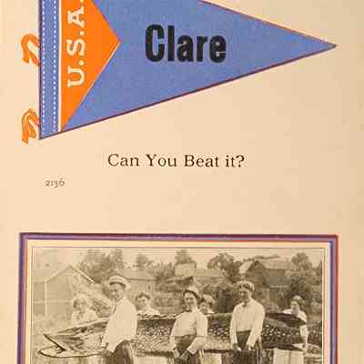 An Every Day Occurrence at Clare, Can You Beat It? Postcard