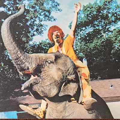 Bingo and Circles the Clown, Potter Park Zoo, Lansing, Mich. Postcard