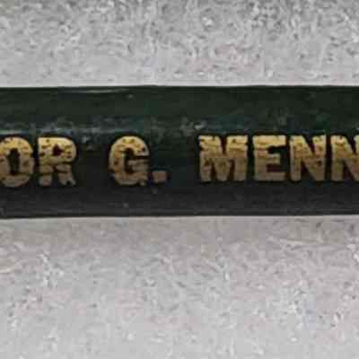 Governor G. Mennen Williams Fountain Pen