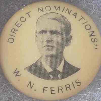 W.N. Ferris Direct Nominations Button