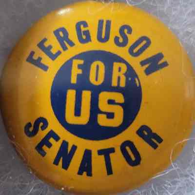 Ferguson for U.S. Senator Button