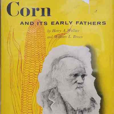 Corn and its Early Fathers by Wallace and Brown (1956)