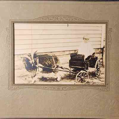 Portrait of a Child with Goat Cart Photo