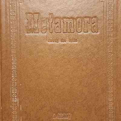 Metamora Among the Hills: A History