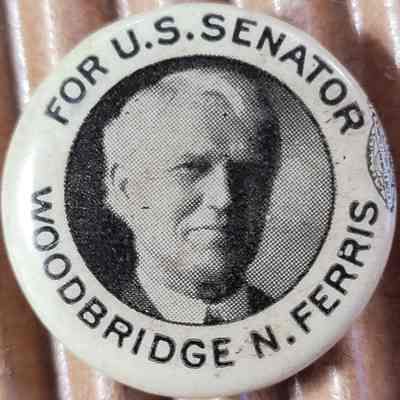 Woodbridge N. Ferris for U.S. Senator Button