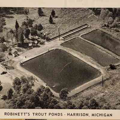 Robinett's Trout Ponds, Harrison, Michigan, Postcard