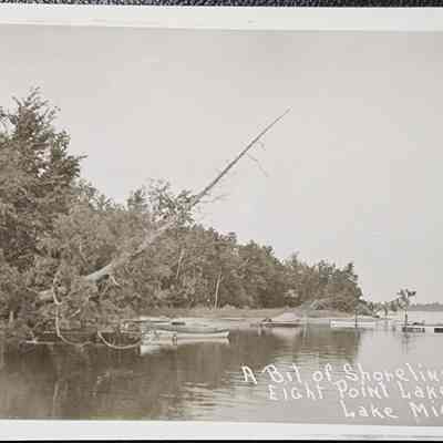 A Bit of Shoreline Eight Point Lake, Lake, Mich. RPPC