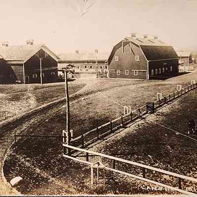 MAC Farms, Lansing, Mich., RPPC