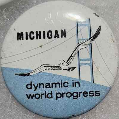 Michigan Dynamic in World Progress Button