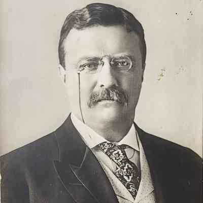 Theodore Roosevelt Postcard, c. 1907