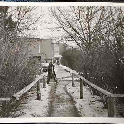 MSU Campus Snapshot Photo