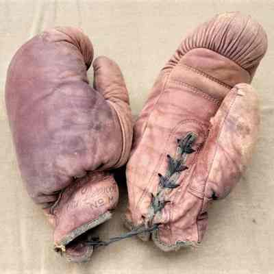 VanDervoort Boxing Gloves