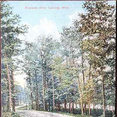 Riverside Drive, Lansing, Mich. Postcard