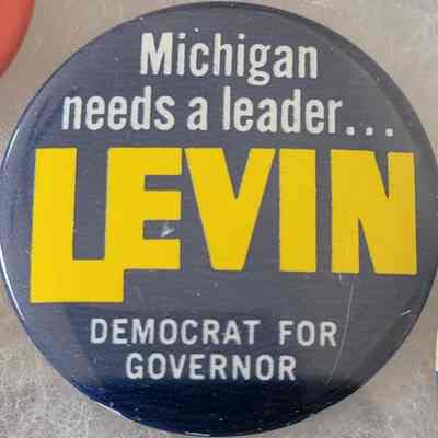 Levin for Governor Button