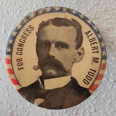 Albert M. Todd for Congress Button