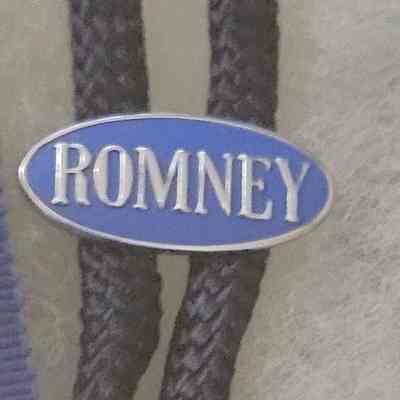 Romney Bolo Tie