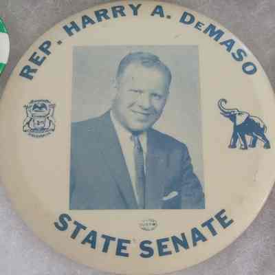 DeMaso for State Senate Button